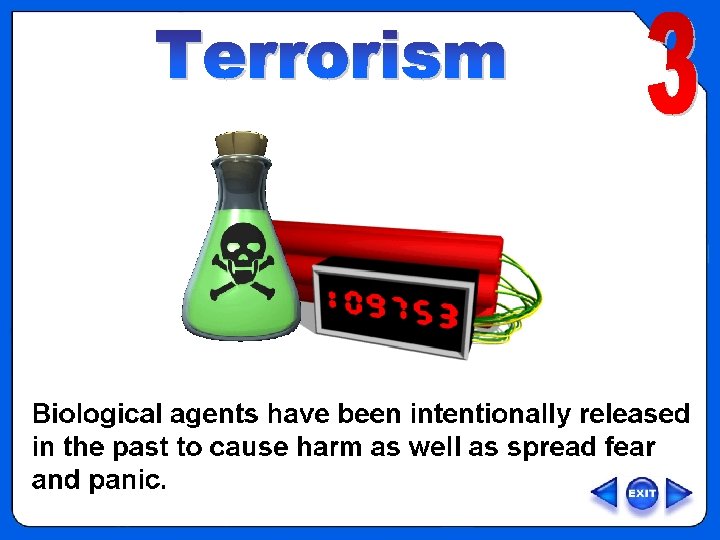 OVERVIEW – Type 3, Terrorism 