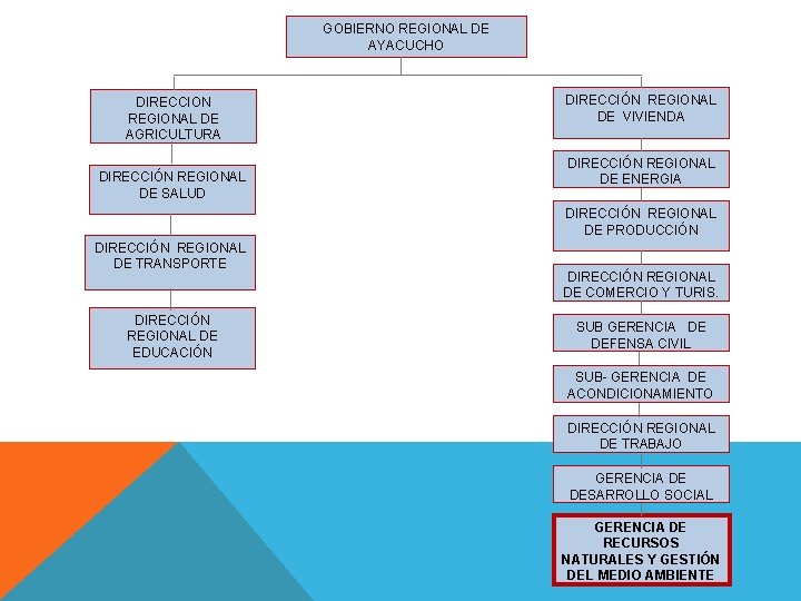 GOBIERNO REGIONAL DE AYACUCHO DIRECCION REGIONAL DE AGRICULTURA DIRECCIÓN REGIONAL DE SALUD DIRECCIÓN REGIONAL