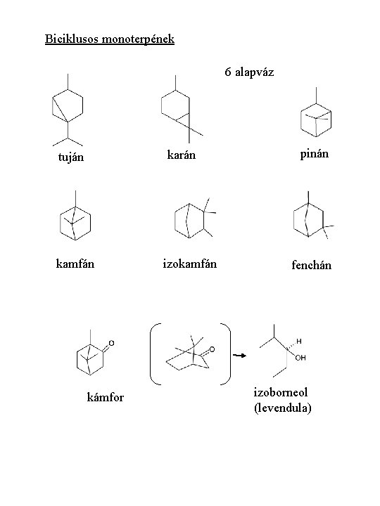 Biciklusos monoterpének 6 alapváz karán tuján kamfán kámfor izokamfán pinán fenchán izoborneol (levendula) 