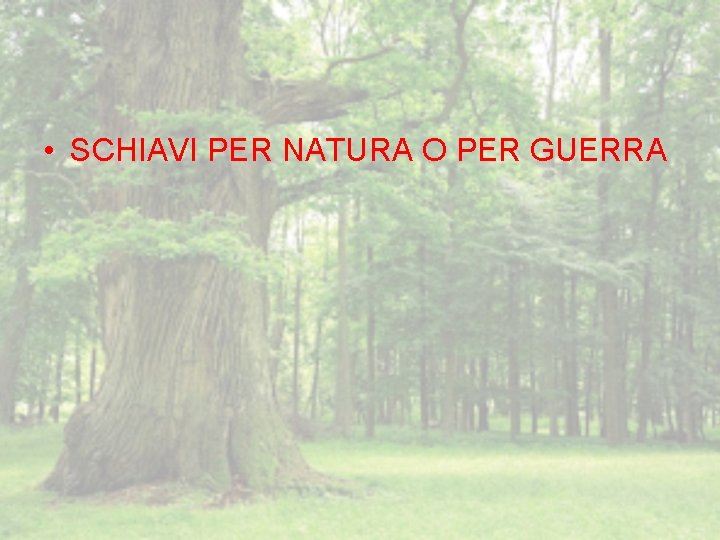  • SCHIAVI PER NATURA O PER GUERRA 