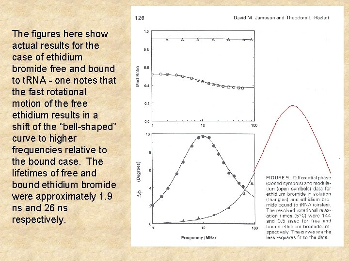 The figures here show actual results for the case of ethidium bromide free and