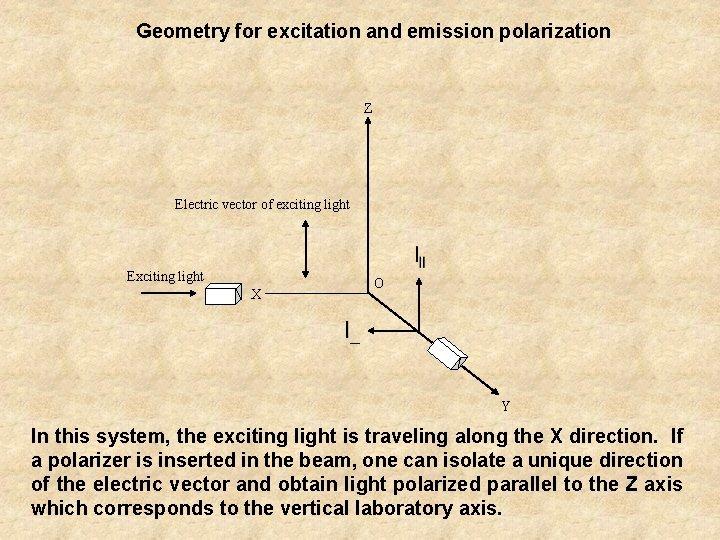 Geometry for excitation and emission polarization Z Electric vector of exciting light Exciting light