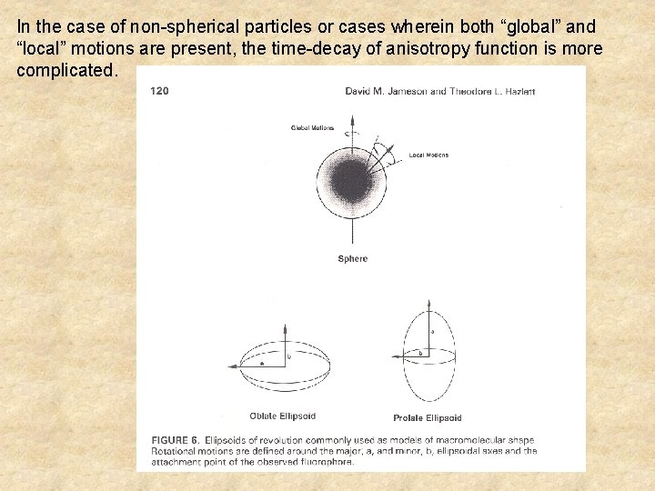 In the case of non-spherical particles or cases wherein both “global” and “local” motions