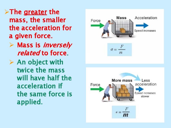 ØThe greater the mass, the smaller the acceleration for a given force. Ø Mass