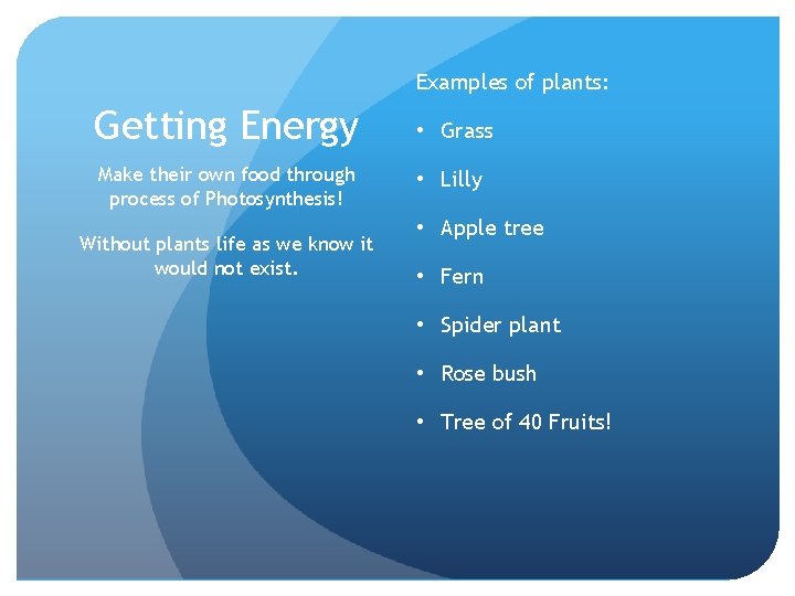 Examples of plants: Getting Energy • Grass Make their own food through process of