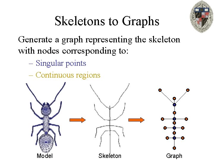 Skeletons to Graphs Generate a graph representing the skeleton with nodes corresponding to: –