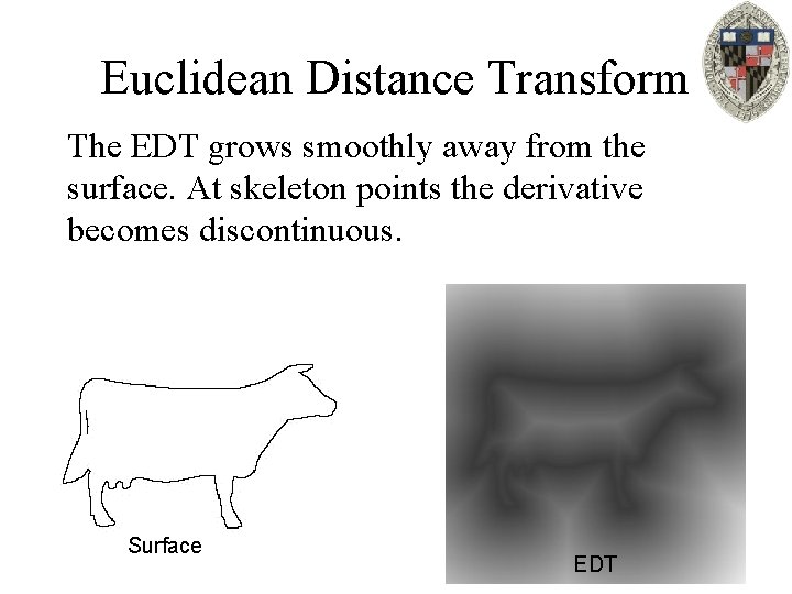 Euclidean Distance Transform The EDT grows smoothly away from the surface. At skeleton points