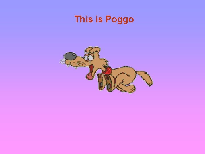 This is Poggo 