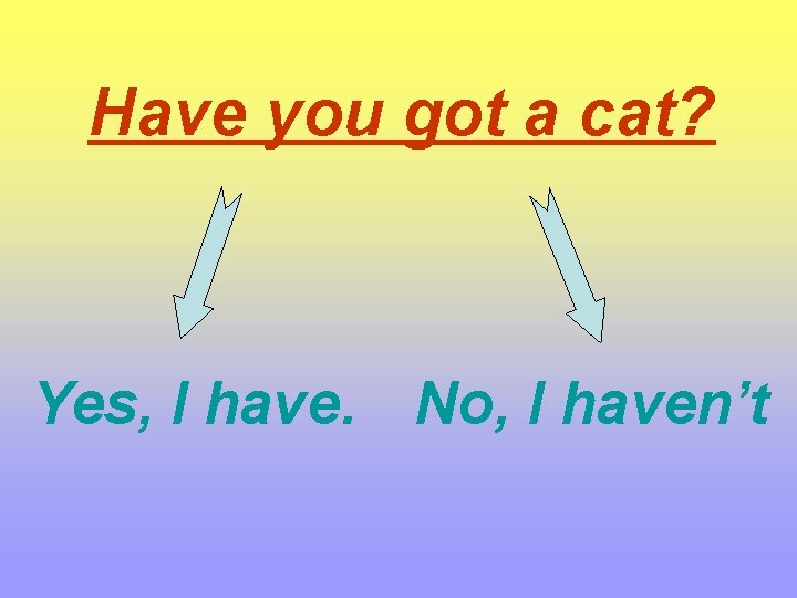 Have you got a cat? Yes, I have. No, I haven’t 