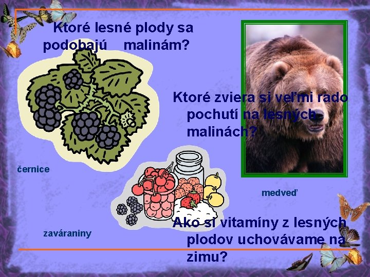 Ktoré lesné plody sa podobajú malinám? Ktoré zviera si veľmi rado pochutí na lesných