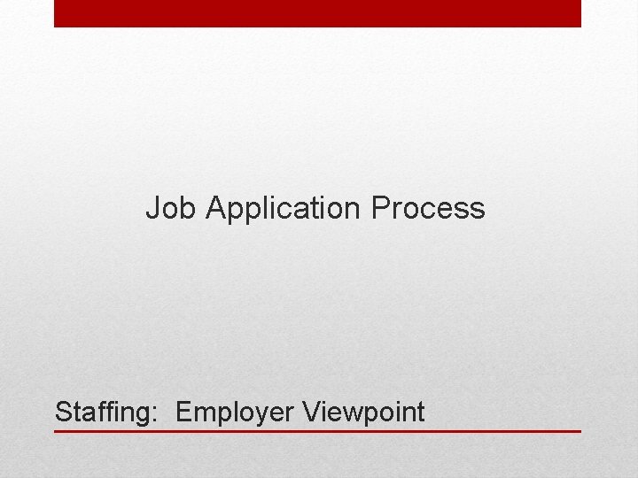 Job Application Process Staffing: Employer Viewpoint 