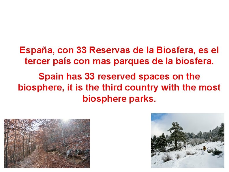 PARQUE DE LA BIOSFERA DE ESPAÑA. Park of the biosphere of Spain. España, con