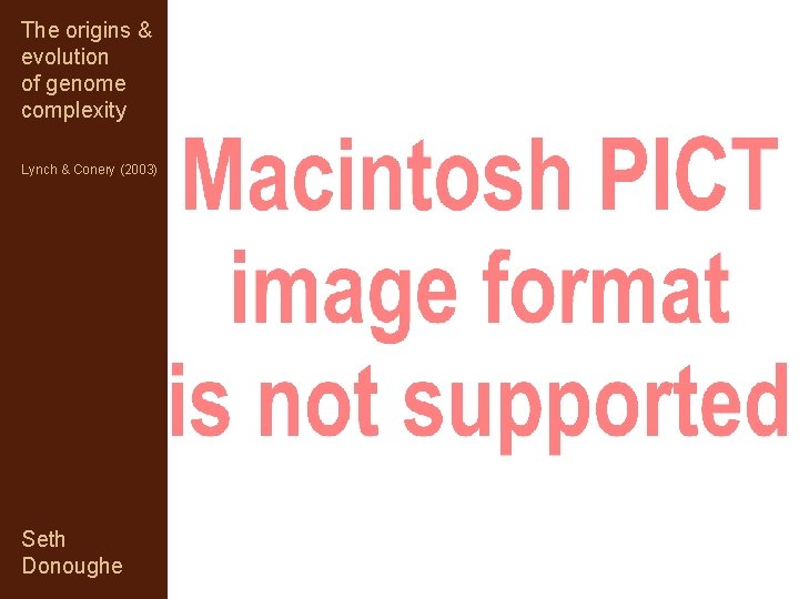 The origins & evolution of genome complexity Lynch & Conery (2003) Seth Donoughe 