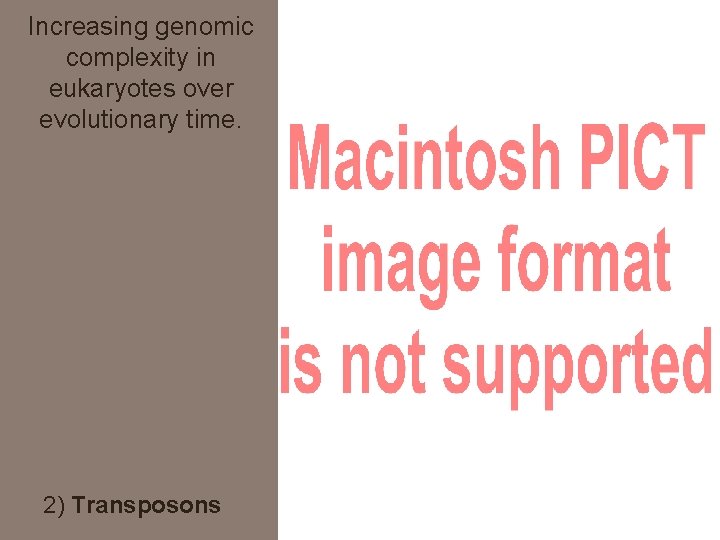 Increasing genomic complexity in eukaryotes over evolutionary time. 2) Transposons 