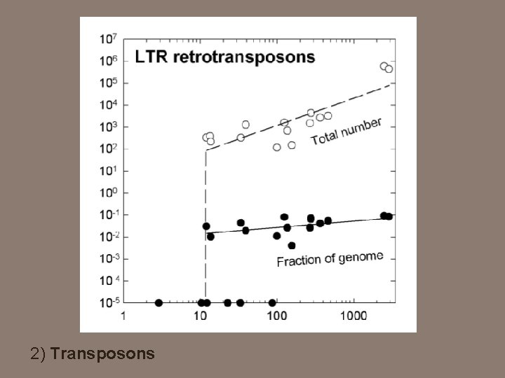 2) Transposons 