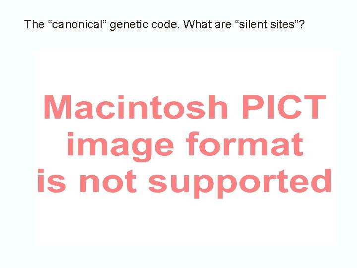 The “canonical” genetic code. What are “silent sites”? 