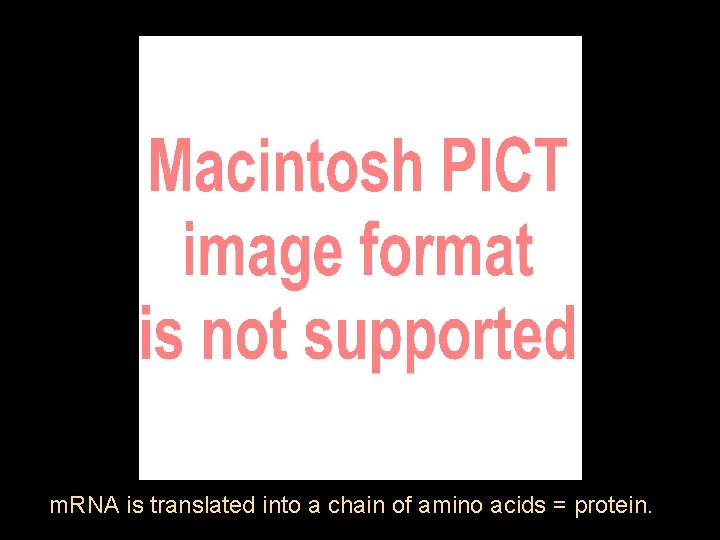m. RNA is translated into a chain of amino acids = protein. 