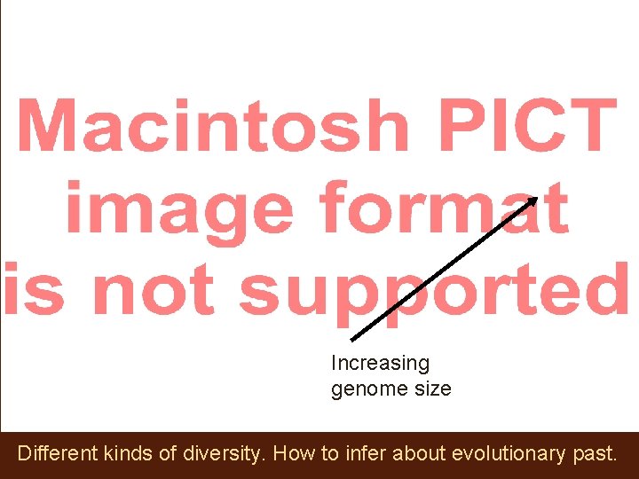 Increasing genome size Different kinds of diversity. How to infer about evolutionary past. 
