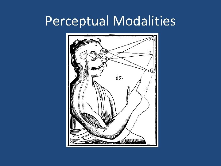 Perceptual Modalities 