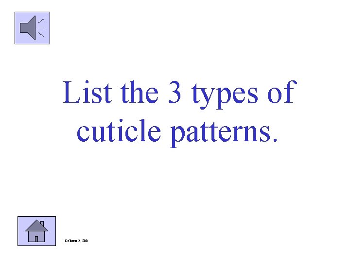 List the 3 types of cuticle patterns. Column 2, 500 