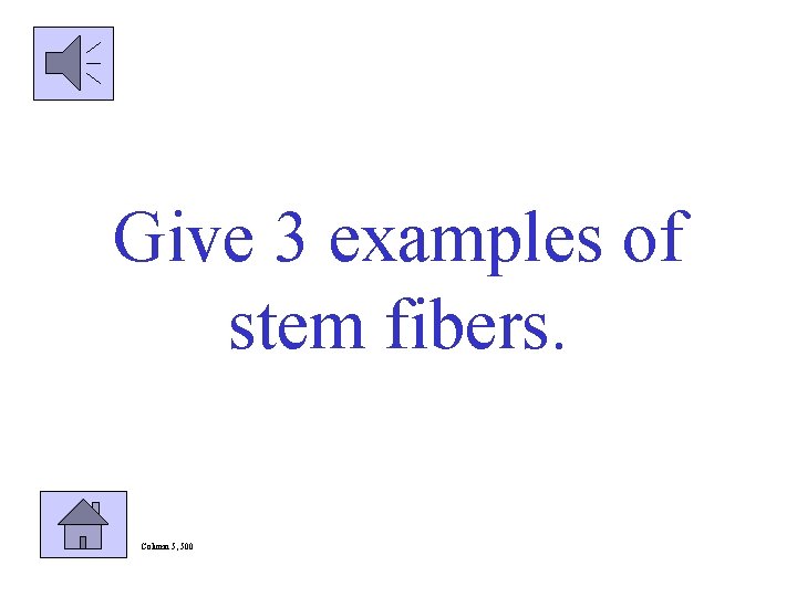 Give 3 examples of stem fibers. Column 5, 500 