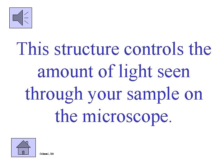 This structure controls the amount of light seen through your sample on the microscope.