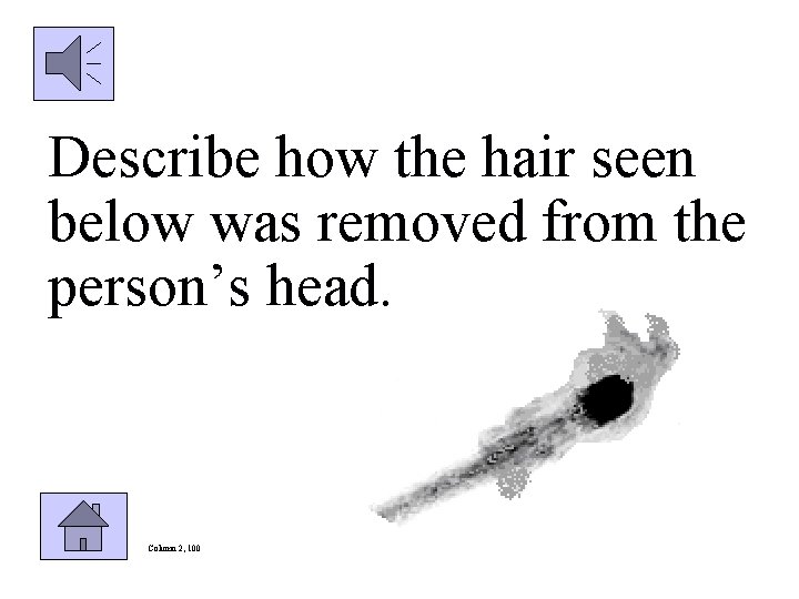 Describe how the hair seen below was removed from the person’s head. Column 2,