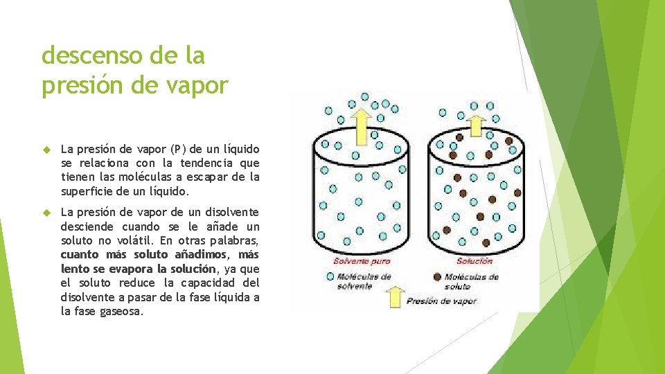 descenso de la presión de vapor La presión de vapor (P) de un líquido