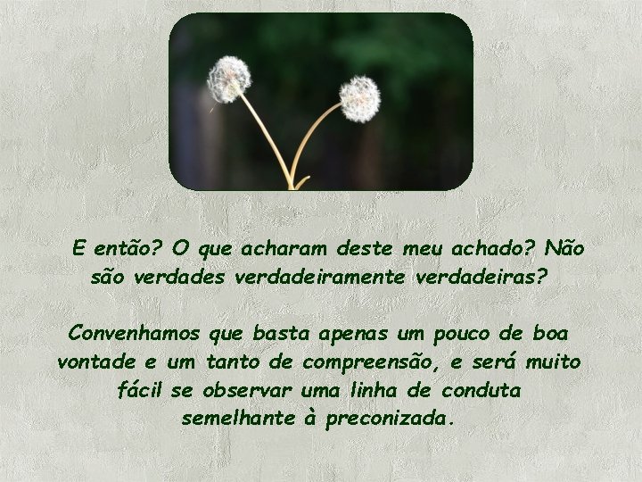 E então? O que acharam deste meu achado? Não são verdades verdadeiramente verdadeiras? Convenhamos