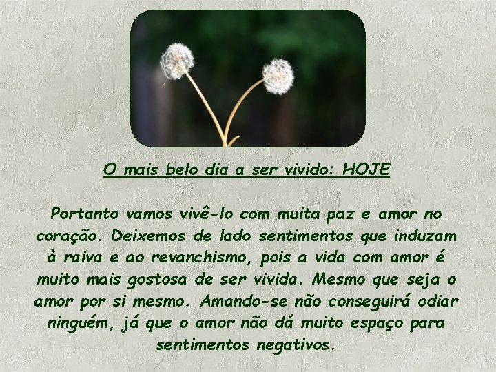 O mais belo dia a ser vivido: HOJE Portanto vamos vivê-lo com muita paz