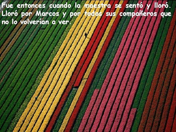 Fue entonces cuando la maestra se sentó y lloró. Lloró por Marcos y por