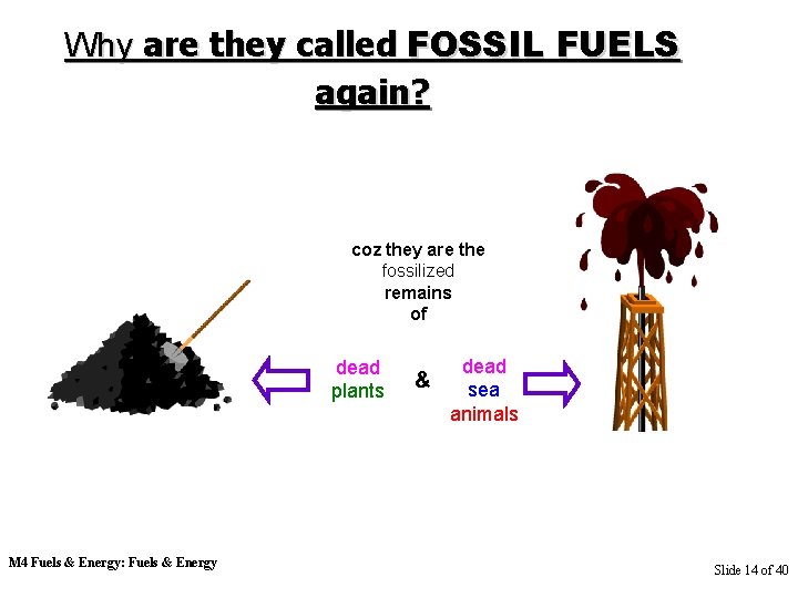 Why are they called FOSSIL FUELS again? coz they are the fossilized remains of