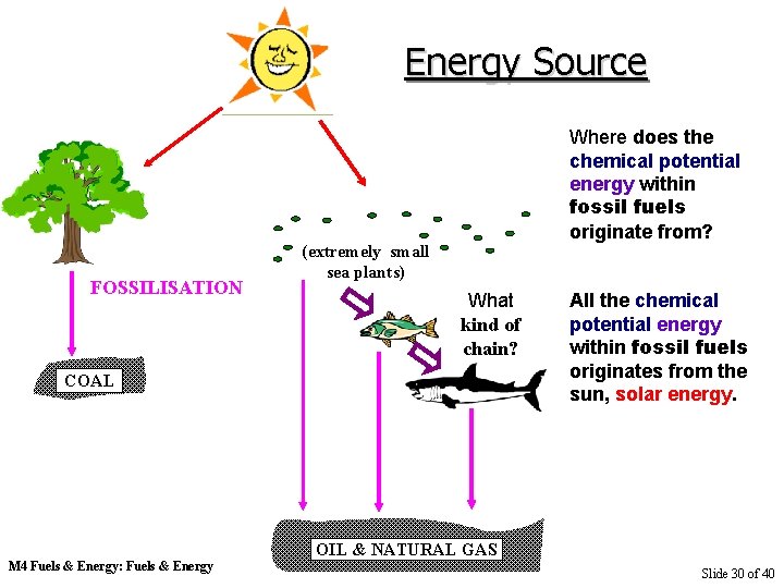Energy Source FOSSILISATION Where does the chemical potential energy within fossil fuels originate from?