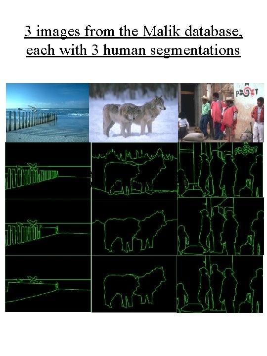 3 images from the Malik database, each with 3 human segmentations The gestalt rules
