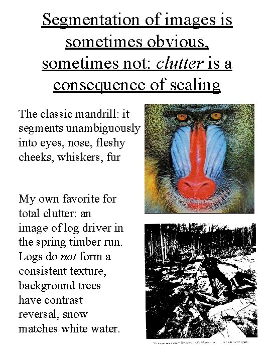 Segmentation of images is sometimes obvious, sometimes not: clutter is a consequence of scaling