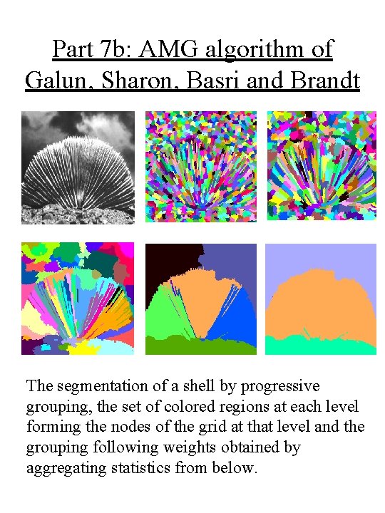 Part 7 b: AMG algorithm of Galun, Sharon, Basri and Brandt The segmentation of