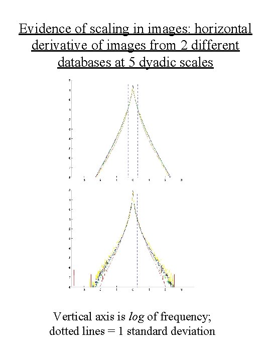 Evidence of scaling in images: horizontal derivative of images from 2 different databases at