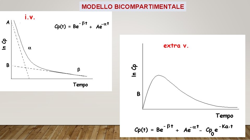 MODELLO BICOMPARTIMENTALE 