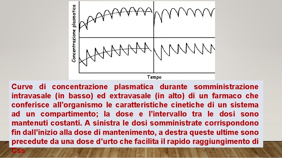 Curve di concentrazione plasmatica durante somministrazione intravasale (in basso) ed extravasale (in alto) di