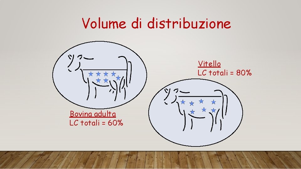 Volume di distribuzione Vitello LC totali = 80% Bovina adulta LC totali = 60%