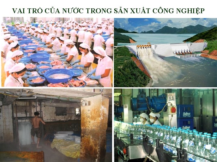 VAI TRÒ CỦA NƯỚC TRONG SẢN XUẤT CÔNG NGHIỆP 