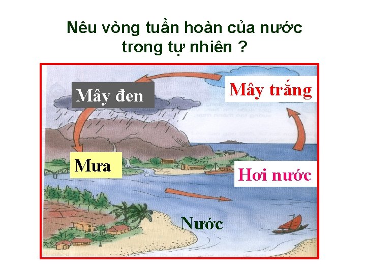 Nêu vòng tuần hoàn của nước trong tự nhiên ? Mây trắng Mây đen