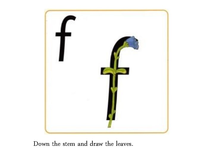 Down the stem and draw the leaves. 