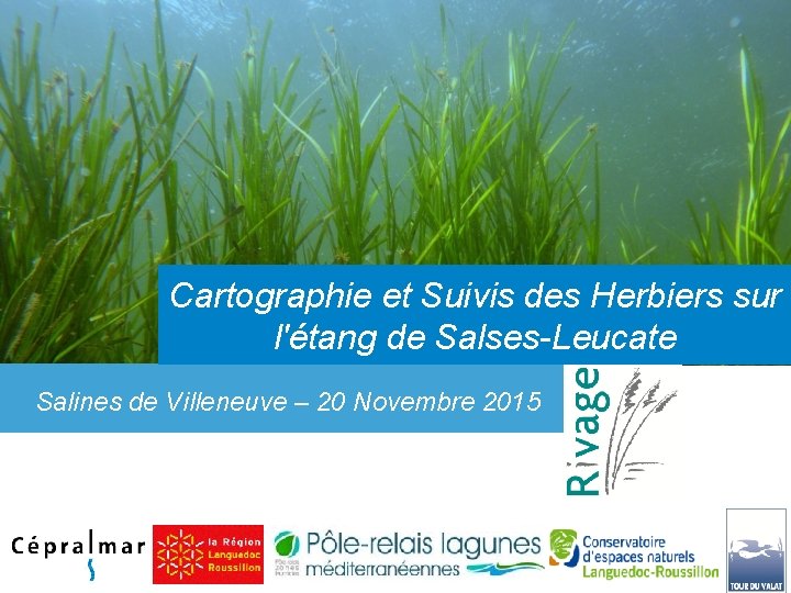 Cartographie et Suivis des Herbiers sur l'étang de Salses-Leucate Salines de Villeneuve – 20