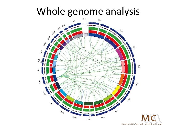 Whole genome analysis 