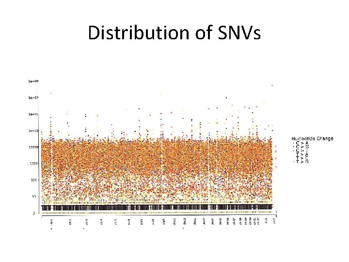 Distribution of SNVs 