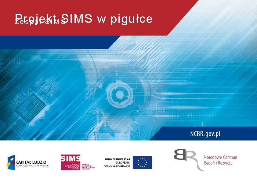 Projekt SIMS w pigułce Zespół SIMS 