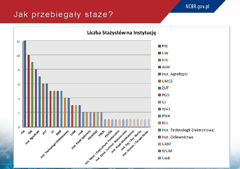 Jak przebiegały staże? 