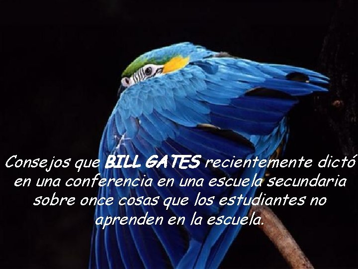 Consejos que BILL GATES recientemente dictó en una conferencia en una escuela secundaria sobre