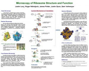 Microscopy of Ribosome Structure and Function Justin Levy